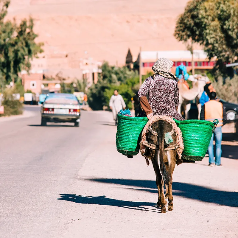 Conduire à Fès conseils pratiques